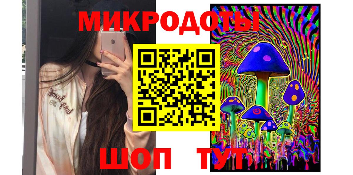 Галлюциногенные грибы Psilocybine cubensis Карабулак