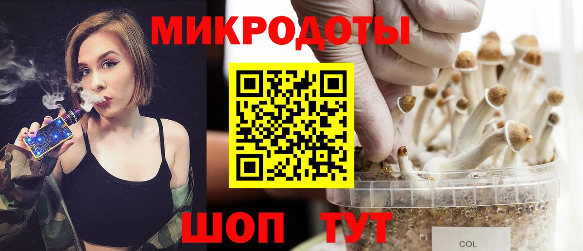 Галлюциногенные грибы Psilocybe  Вход с VPN  Карабулак 