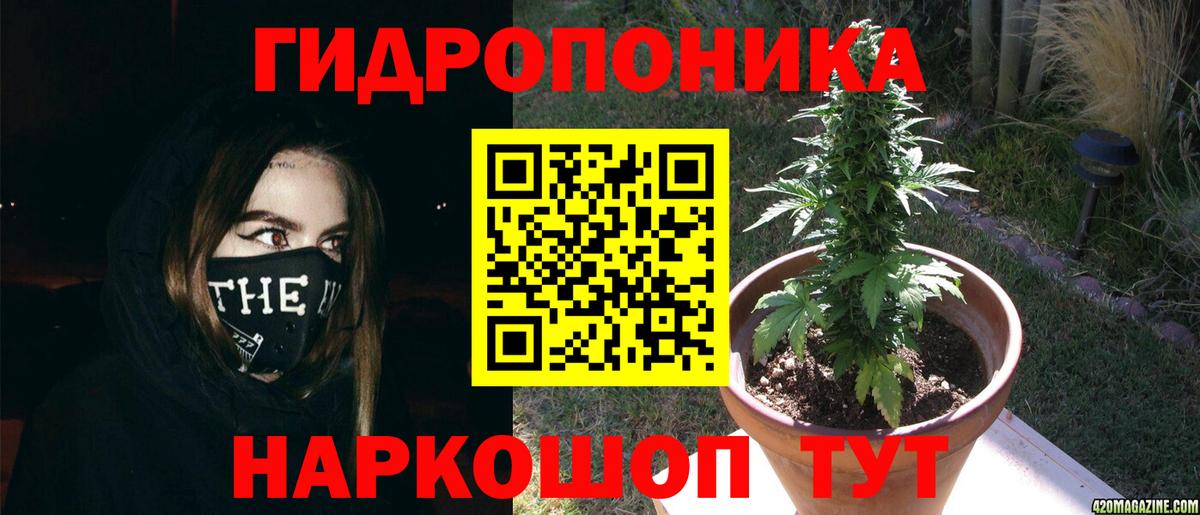 Канабис ГИДРОПОН Карабулак